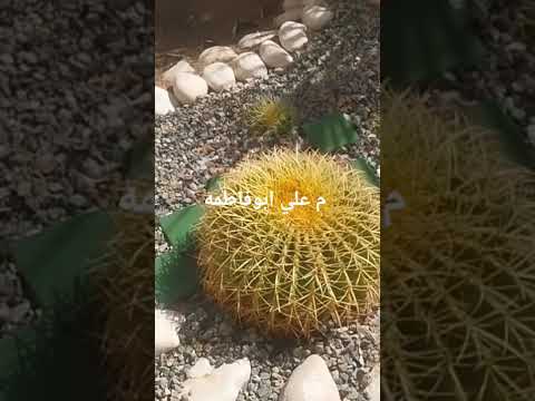 الأصول تنسيق حدائق خيل