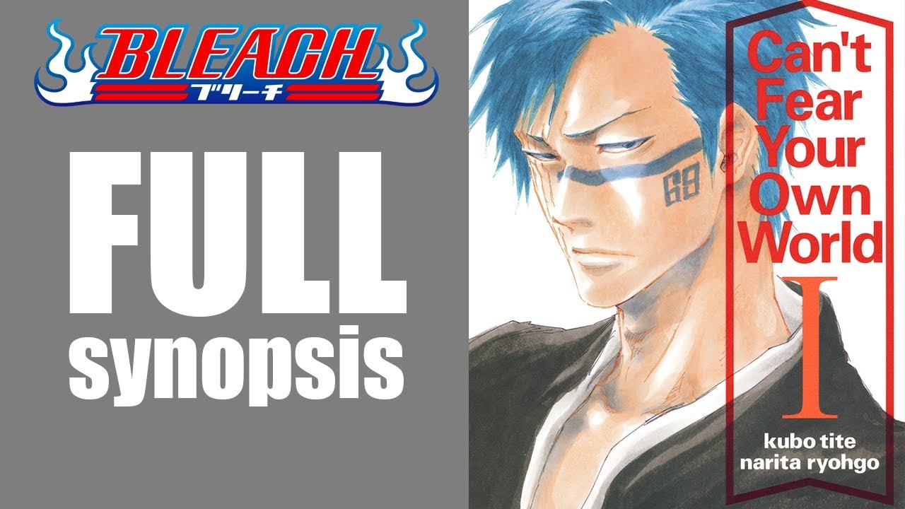 Bleach Can T Fear Your Own World Volume 1 Synopsis Youtube