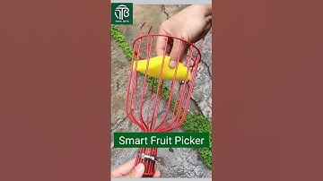 Genius Fruit Picker Tool | Easy & Damage-Free Harvesting #Harvesting #shorts
