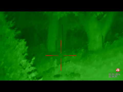 ღამის / დღის ხედვის ოპტიკა, ტურა 150 მეტრი  atn night vision......