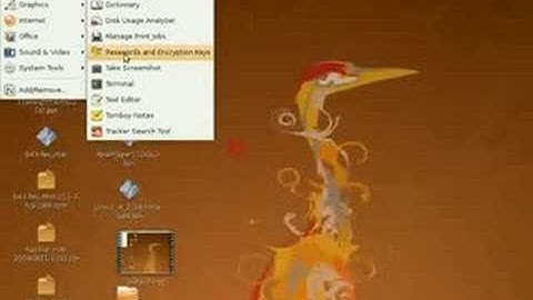 Usage of gnome-screenshot