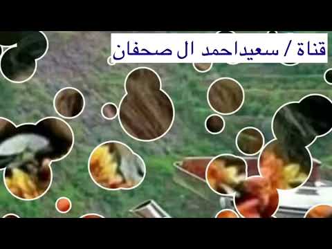 الا يا حمام اتعبتني كلما غنيت