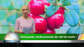 merisoarele medicamentele din varf de munte 31 10 2018