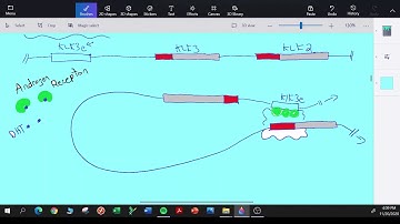 The Chromatin Conformation Capture (3C) Assay (Recommend 1.5x Speed)