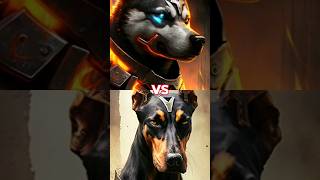 AKITA VS DOBERMAN (WHO IS BETTER GUARD DOG)