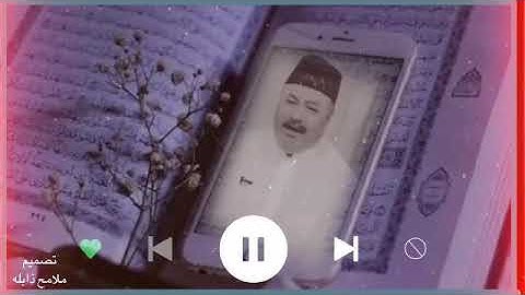 اجمل تلاوه قرانيه حالات واتس اب عامر الكاظمي حالات واتس اب القرآن الكريم مقاطع دينيه قصيره ✨❤