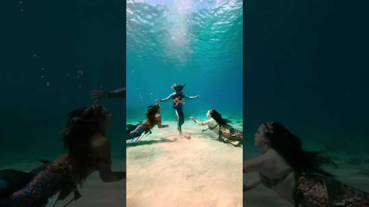 Two Mermaids meet the HAWAII AQUAMAN! 🔱 🐙 