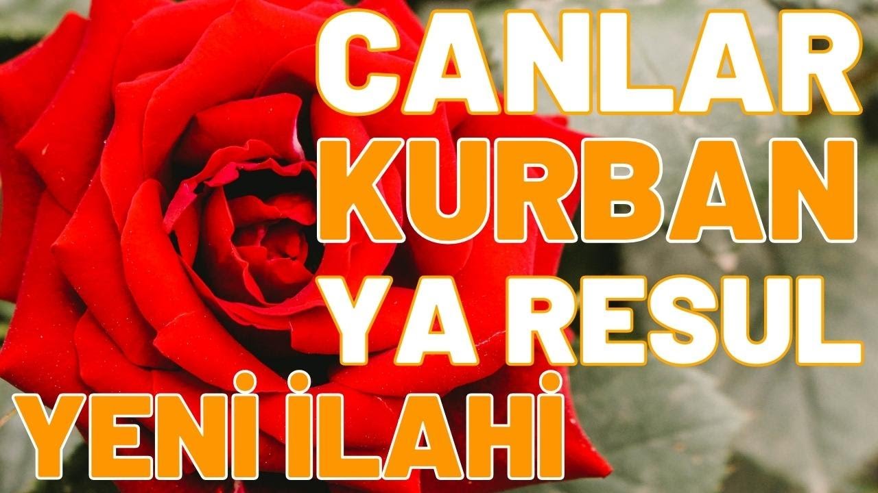 Ne Mükemmeldir Şanın CANLAR KURBAN Ya Resul | Yeni İlahi | Talha Sümer
