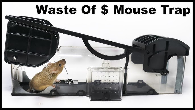 1/2PCS Mousetrap Reusable Mouse Trap Rat Killer Control Easy Trap