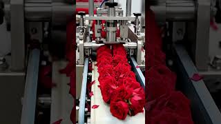 gulab #shortvideo#gulab #shorts