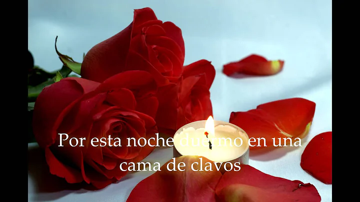 AARON ALDANA   BED OF ROSES COVER