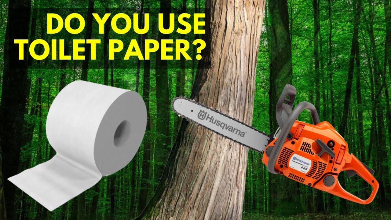 Toilet Paper Causes Deforestation The Virtues of a Bidet YouTube