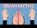 7 Brain Myths You Thought Were True