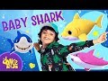 BABY SHARK - PINK FONG (Coreografia Oficial) Dance Video