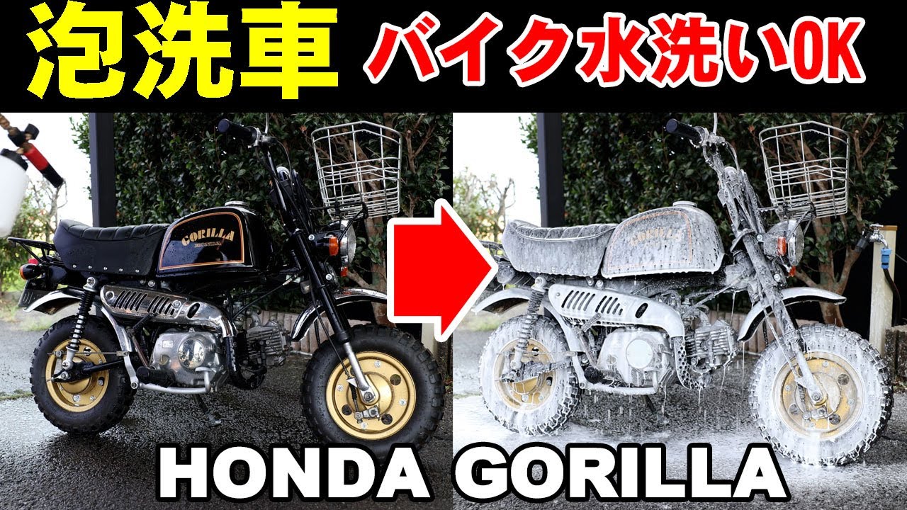 ６ボルト　ホンダ　ゴリラ　稀少車両です。 モンキーの兄貴分、ホンダ(HONDA) GORILLA [ゴリラ] | 4ミニ.net