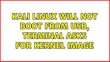 Kali Linux will not boot from USB, terminal asks for kernel image