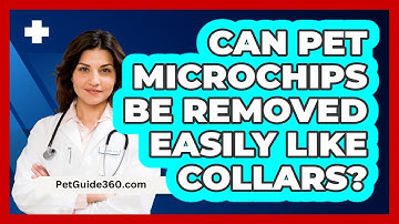 Can Pet Microchips Be Removed Easily Like Collars?