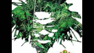 Earthjuice- Pulse Dub