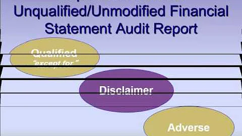 Reports on audited financial statements - DayDayNews