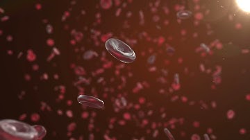 Blood Cells - 3D & Motion Graphics (Element 3D)