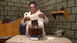 Oil Spill Clean Up Experiment