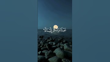 ماهر المعيقلي تلاوة خاشعة حالات واتس اب قرآن كريم