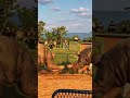 #video #edit #shorts #diy