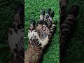 Natural stain #mehndi #viralvideo #creativehenna #henna