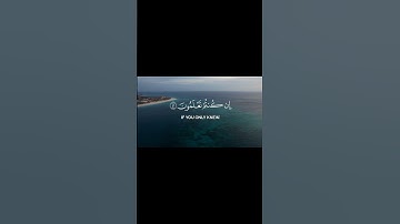 انفروا خفافا وثقالا سعد الغامدي سورة التوبة #اكسبلور #المصحف #حالات_واتس #راحة_نفسية