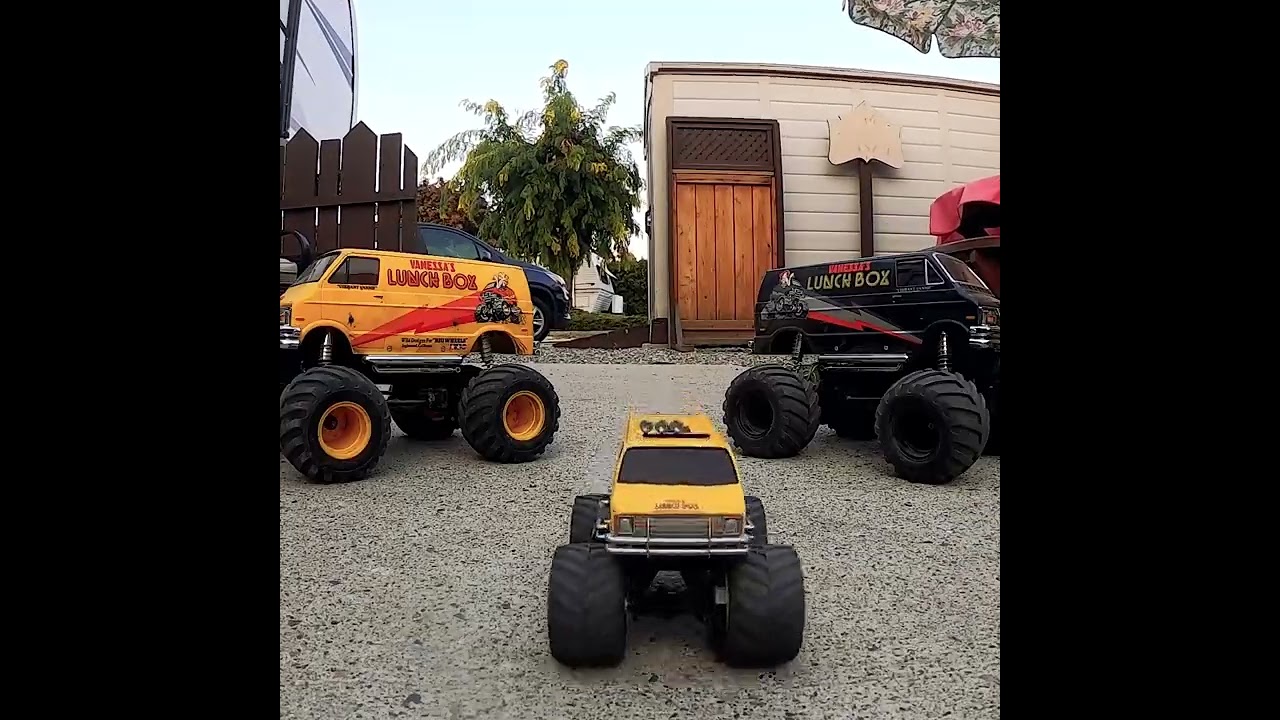 Tamiya lunchbox Jr. Loves the camera    