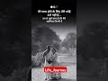 #shayri #love #couple #shayari #quotes #wedding #viralvideo #treanding