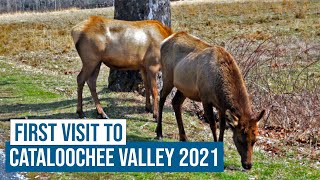 First Visit to Cataloochee Valley 2021