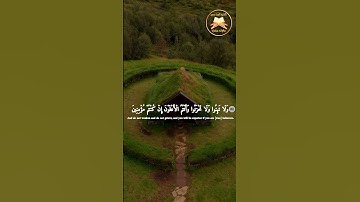 تلاوة خاشعة للقارئ الشيخ أيمن سمير لما تيسر من سورة آل عمران #راحة_نفسية #اكسبلور #حالات_واتس
