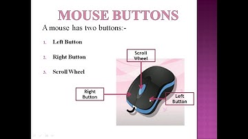 What is Computer Mouse | An Input Device | Mouse | For Junior Classes | Mouse Pointer |