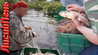 Ряжовая сеть сороковка