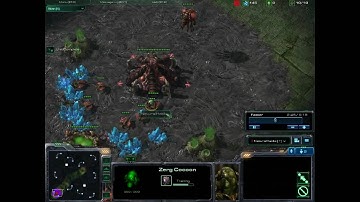 HD Starcraft2 How to zerg zergling RUSH