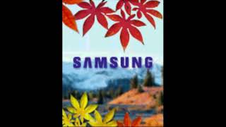 Samsung Scha565  Startup And Shutdown 2002