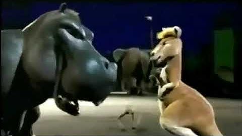 The Wild (2006) - TV Spot