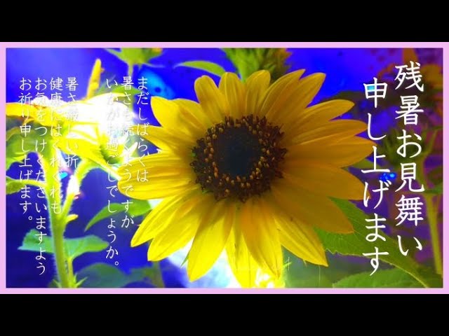 残暑見舞い動画♥03B♥残暑お見舞い申し上げます ♥ メッセージ
