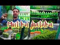 Mint Margrita juice Recipe #lemonPani #HowtoMakeMintLemon#MintLemon    #food#foodie#@superfaheemshah