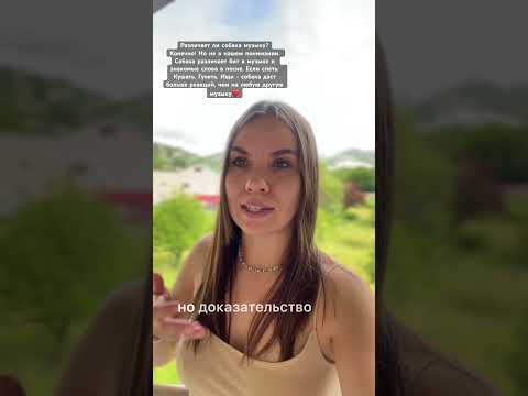 Больше на канале❤️ #дрессировкащенка #трюки #дрессировка #dog #dogfitness