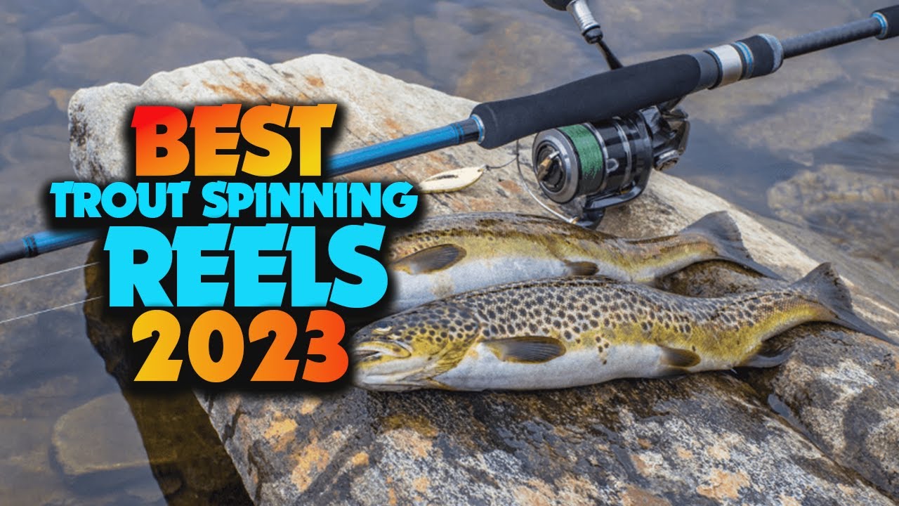 Top 5 Best Trout Spinning Reels in 2023