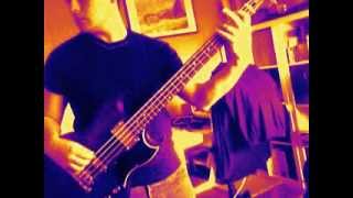 Download Lagu Rabiosa - Shakira Feat. Pitbull [ Bass Cover ] MP3