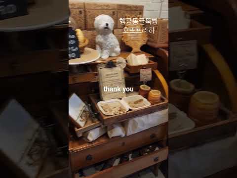 #행궁동#행궁동굴뚝빵#호뜨프라하 여기 플레인, #초코굴뚝빵, #잠봉굴뚝빵 #맛있음#행궁동맛집