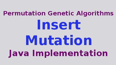 Genetic Algorithms 22/30: Insert Mutation with Java Implementation