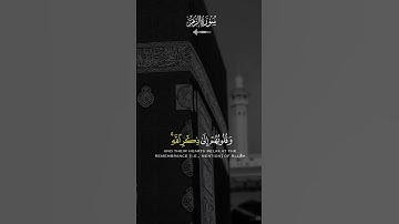 الله نزل أحسن الحديث #سورة_الزمر #ماهر_المعيقلي #قرآن #راحة_نفسية #ارح_قلبك #quran