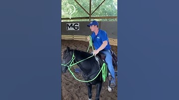 Gain Confidence With Your Horse! | The Horse Guru-Michael Gascon
