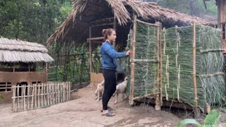 FULL VIDEO: How to make a bathroom and toilet from weeds and bamboo