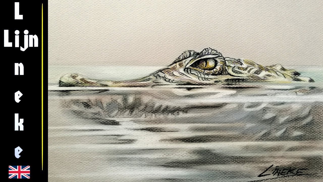 How to draw a Crocodile in the water with pastel pencil YouTube