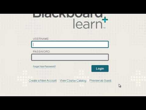 Logging in to Blackboard Learn with Window-Eyes